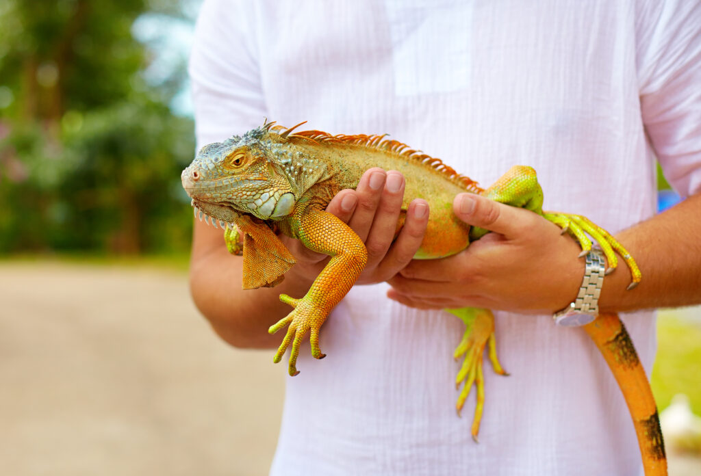 zoologist